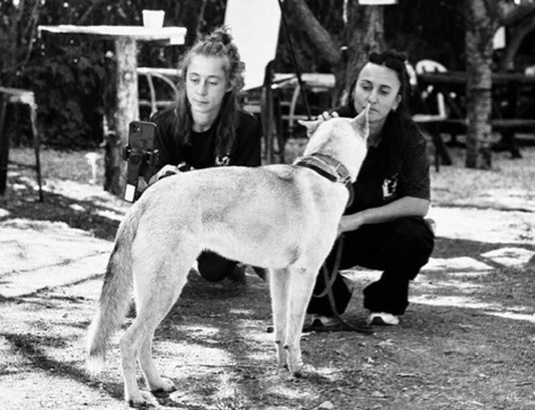 Julie et Suzon, éducatrices canines, travaillant avec un chien